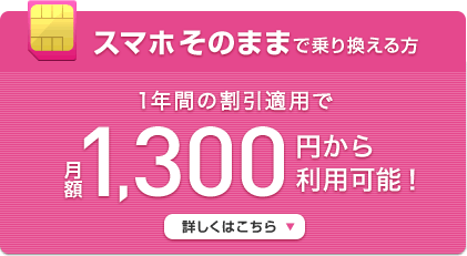 iijmio-campaign25